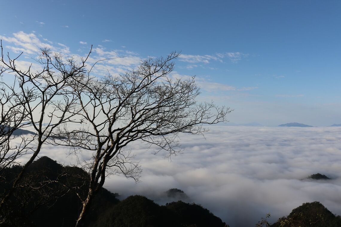 Chia sẻ kinh nghiệm săn mây trên đỉnh Pha Luông